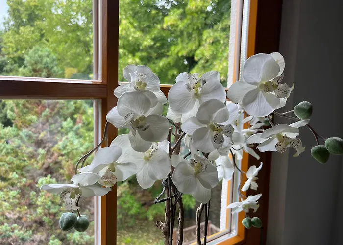 Unter Den Linden Apartamento Freienhufen